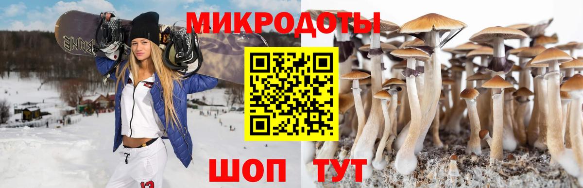 Торжок  Псилоцибиновые грибы прущие грибы  Вход с VPN 