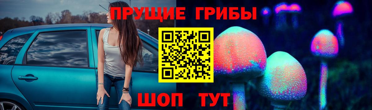 Галлюциногенные грибы Cubensis Торжок